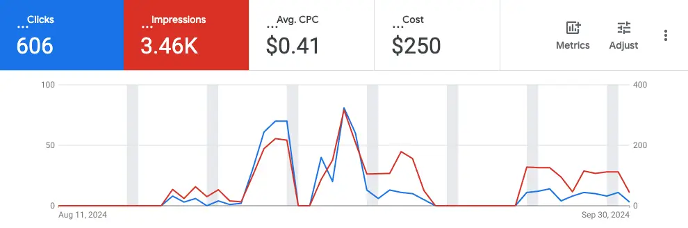 Google Ads campaign results screenshot